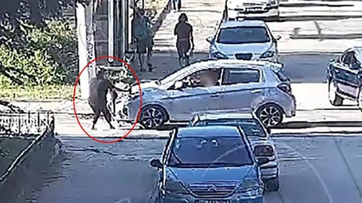 3 yaşındaki Elif Mavi'nin trafik kazasında hayatını kaybetmesi