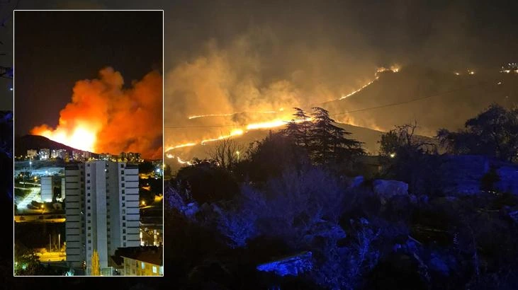Ankara Mamak'ta ağaçlık alanda çıkan yangın kontrol altına alındı