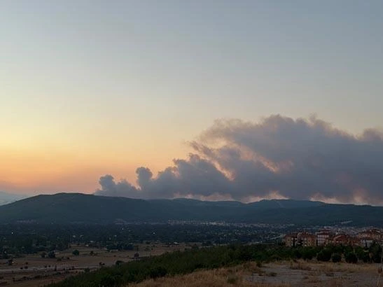 Antalya ve Muğla'da orman yangınlarıyla mücadele sürüyor