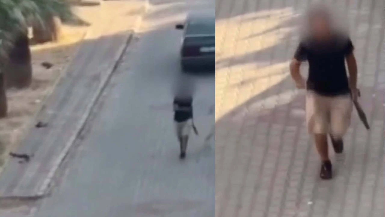 Buca'da pompalı tüfekle rastgele ateş açan şüpheli yakalandı