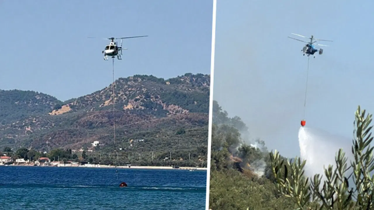 Çanakkale Ayvacık'ta zeytinlik alanda yangın çıktı