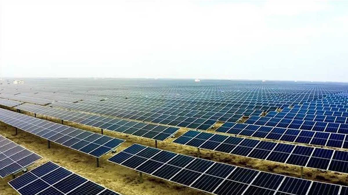 Çin'de güneş enerjisi yaygınlaşması kuş çeşitliliğinde düşüşe yol açtı