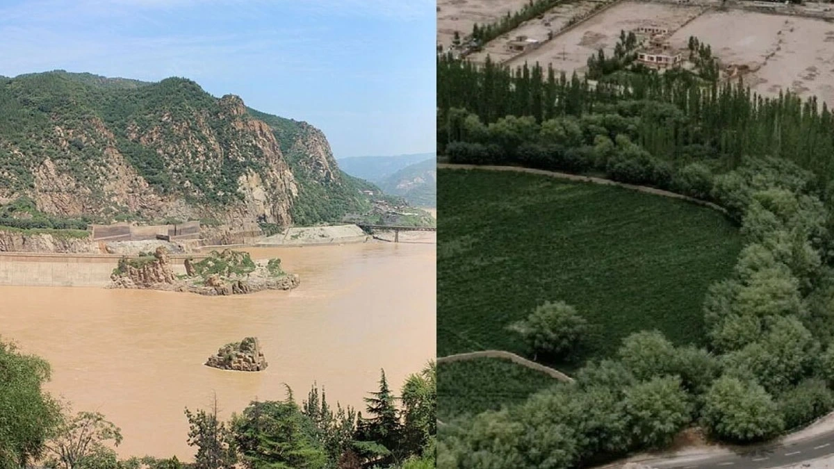 Çin’de milyarlarca ağaç dikilen alan Sarı Nehir’in sediment taşınımını azalttı