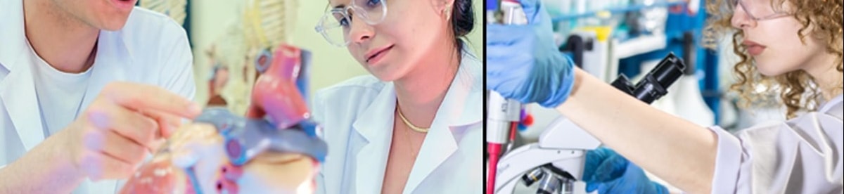 Eğitimde hormonlu notlar YKS sıralamalarını etkiliyor