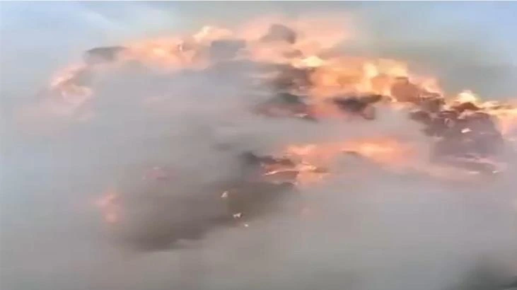 Erzurum Çat'ta şimşek nedeniyle üç mahallede otluk yangını çıktı