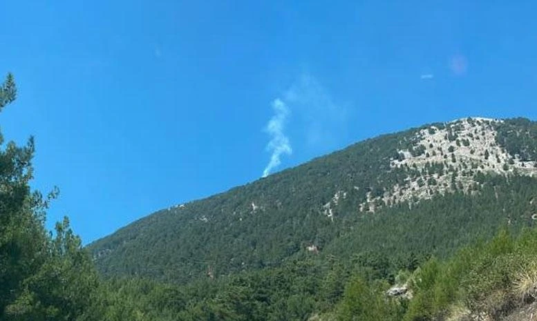 Fethiye Nif Mahallesi'nde orman yangınına havadan müdahale sürüyor