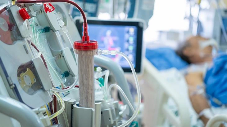 Genetiği değiştirilmiş domuz böbreği ile 271 gün diyalizsiz yaşam sağlandı