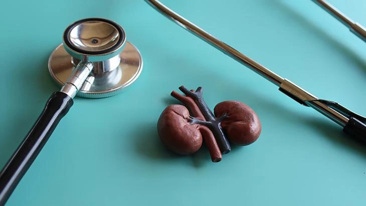Genetiği değiştirilmiş domuz böbreğiyle 271 gün diyaliz olmadan yaşadı