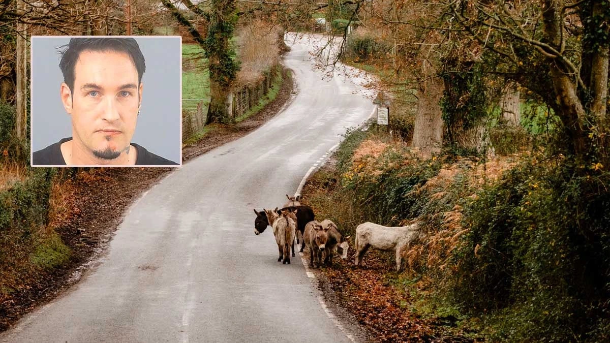 Hampshire'da kilise önlerine bırakılan hayvan leşlerinin zanlısı yakalandı
