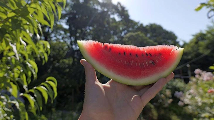 Karpuz çekirdeklerini hızlı ve pratik şekilde temizleme yöntemleri