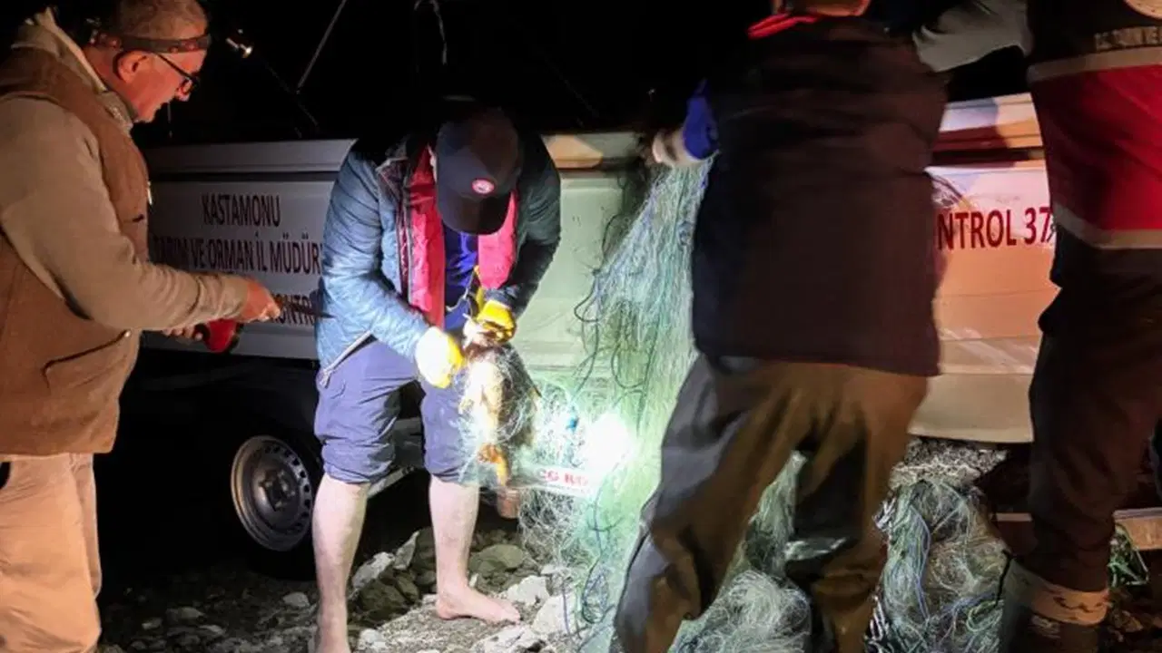 Kastamonu'da baraj göletinde 2 bin 500 metre ağ ve 225 sazan balığı bulundu