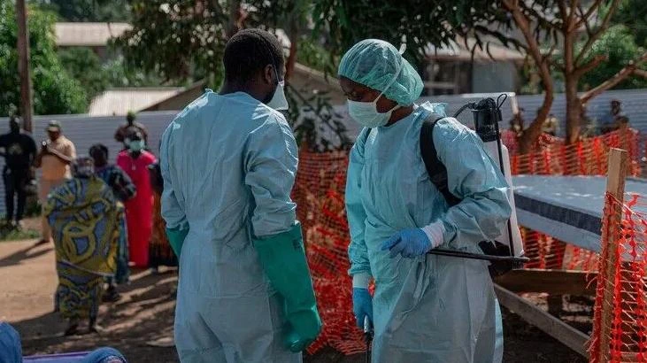 Nijerya'da Lassa ateşi vakaları 36 eyalette yayılıyor