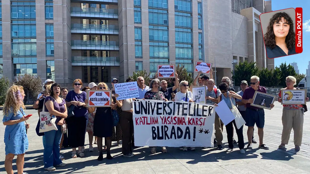 Okmeydanı Anadolu Parkı’nda 9 kedinin ölümü sonrası suç duyurusu yapıldı