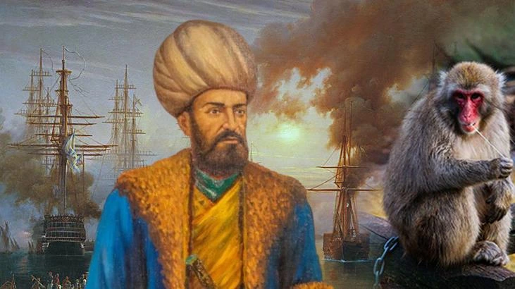 Osmanlı donanmasında maymunların gözcü olarak kullanıldığına dair tarihî izler
