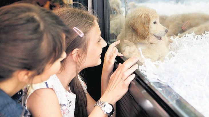 Tarım Bakanlığı köpek satışında izin belgesi ve bildirim zorunluluğunu hatırlattı