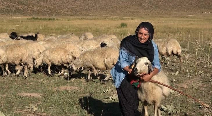 Tunceli'de iki çocuk annesi Özlem Baloğlu yaylada çobanlık yapıyor