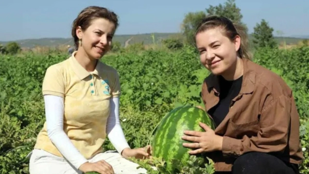 Üniversiteli iki kardeş bankacılığı bırakarak ata topraklarında çiftçiliğe başladı